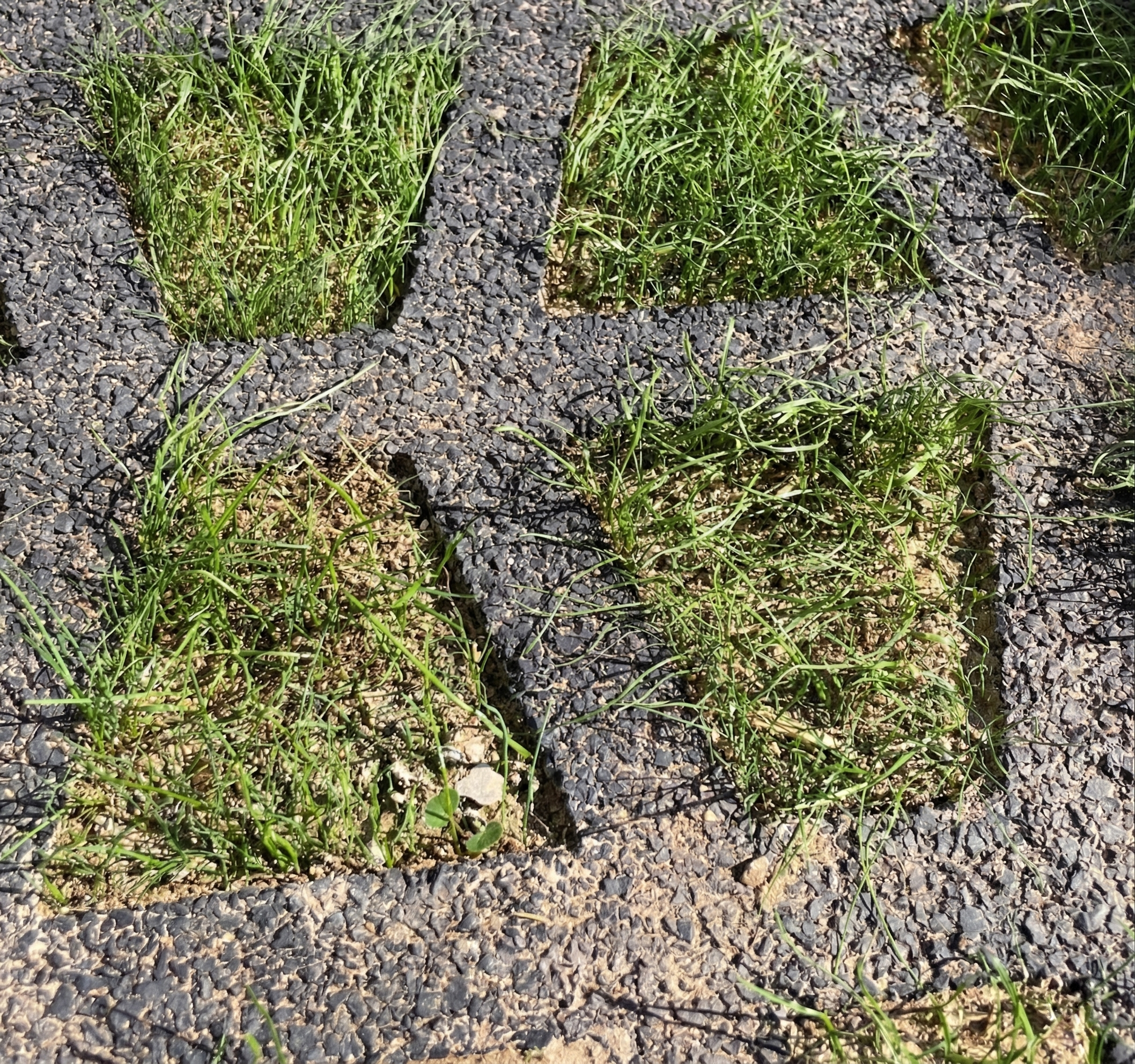 Nordic Rubber Mats - Certifierat fallskydd med plats för naturen